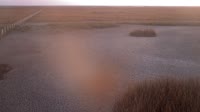 Park Narodowy Doñana - Caño de Rosalimán
