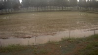 Jurong - Farmland
