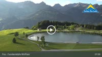 Fiss - Wolfsee