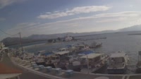 Cervi - Port