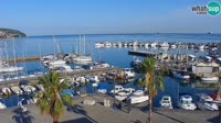 Koper - Ukmarjev trg