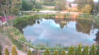 Rąbień - Staw