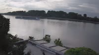 Colonia - Rin