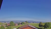 Root - Vista panorámica