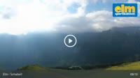 Elm - Schabell