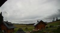 Oberharz am Brocken - Tanne