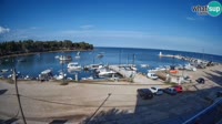 Savudrija - Marina