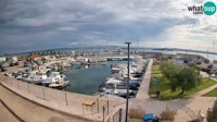 Tkon - Marina