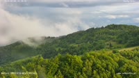 Ochotnica Dolna - Torri di osservazione