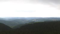 Schneekopf - Selva di Turingia