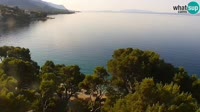 Brela - Bluesun hotel Soline - Panorama
