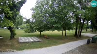 Karlovacas - Foginovo baseinas