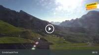 Grindelwald - First