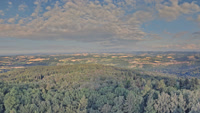 Föckelberg - Potzberg