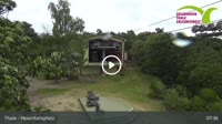Thale - Seilbahnen