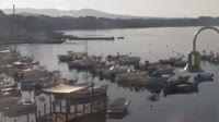 Rosignano Marittimo - Castiglioncello - Porticciolo