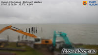 Husum - Dockkoog
