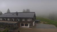 Reit im Winkl - Alpengasthof Winklmoosalm Terasse