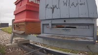 Bienen