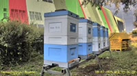 Miniaturansicht