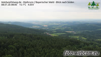 Maibrunn - Waldwipfelweg - Bosque de Baviera
