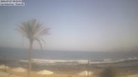 Tenerifė - Playa de Las Americas