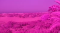 Gran Kanarija - Maspalomasas - Mirador Dunas