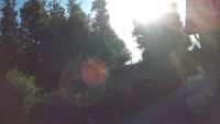 Vignette