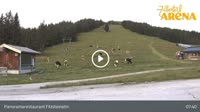Miniaturansicht