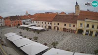 Miniaturansicht