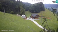 Miniaturansicht