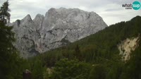 Miniaturansicht