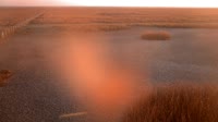 Nationalpark Coto de Doñana - Caño de Rosalimán