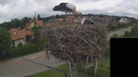 Miniaturansicht