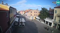 Miniaturansicht