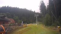 Miniaturansicht