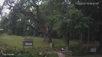 Miniaturansicht