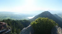 Miniaturansicht