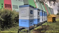 Miniaturansicht