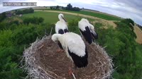 Miniaturansicht