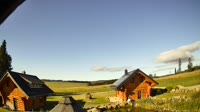 Oberharz am Brocken - Tanne