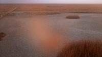 Nationalpark Coto de Doñana - Caño de Rosalimán