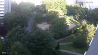Miniaturansicht