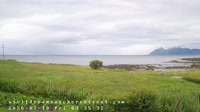 Laukvik