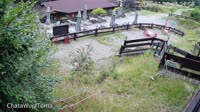 Miniaturansicht