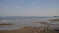 Plouézec - Port Lazo