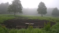Wilczyny - Paśnik dla dzikich zwierząt