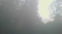 Säriswil - Büüne