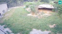 Ljubljana - ZOO