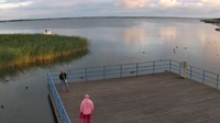 Miniaturansicht